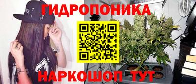 шишки Балахна